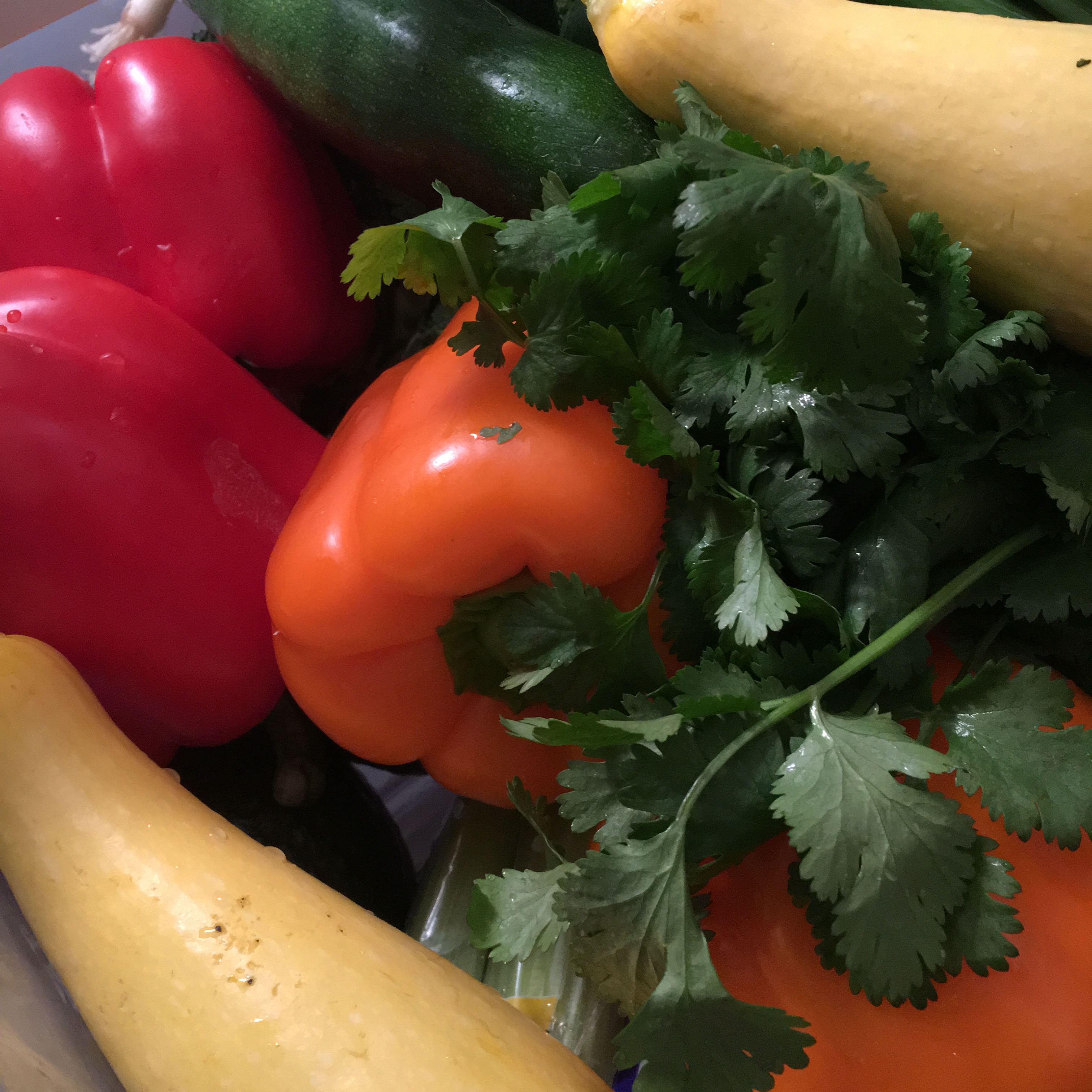 refrigerator-contents