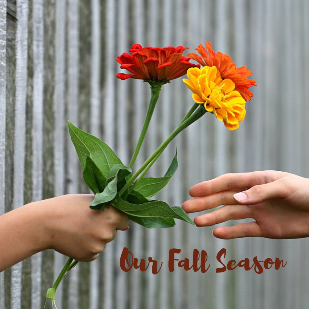 Our Fall Season