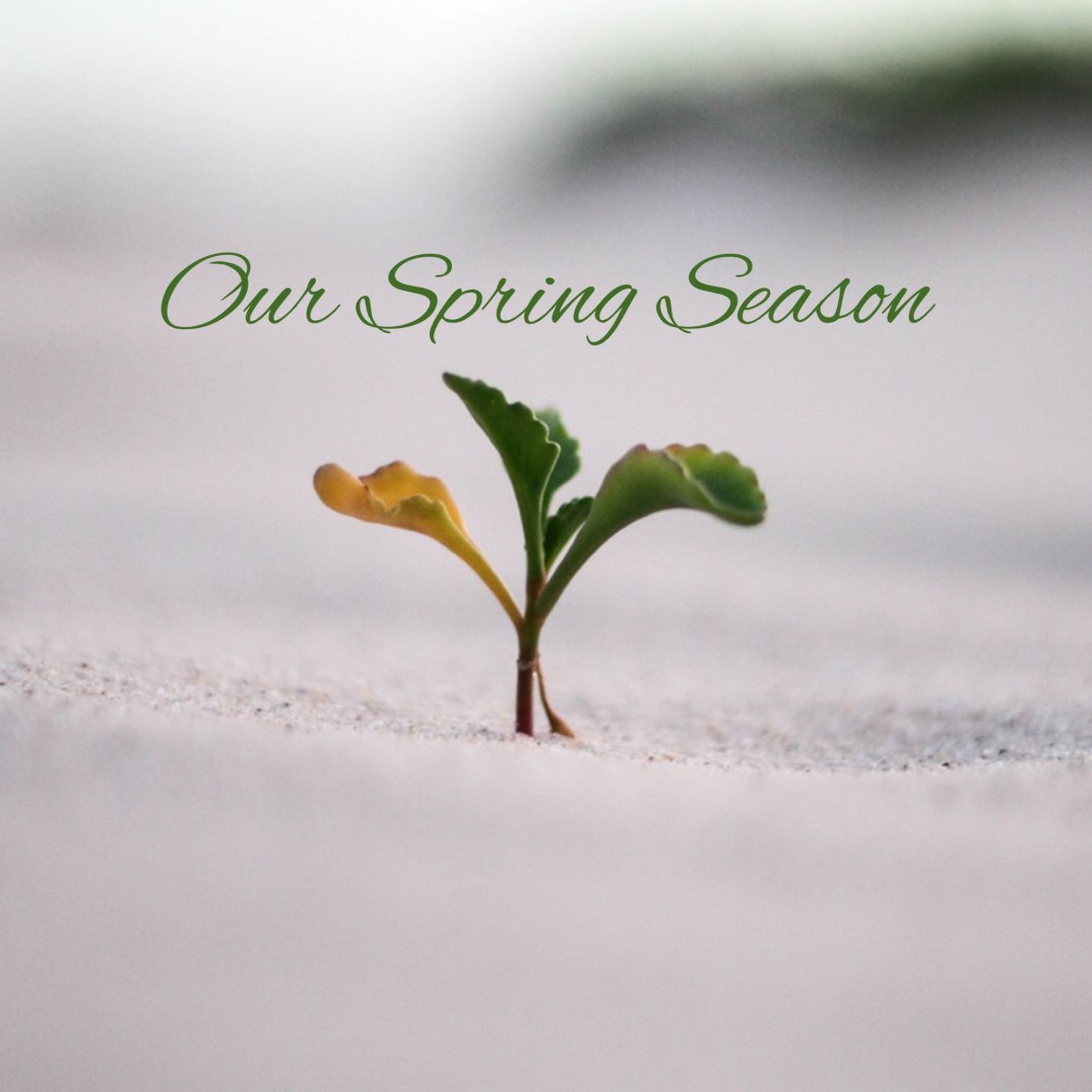 Our Spring Season