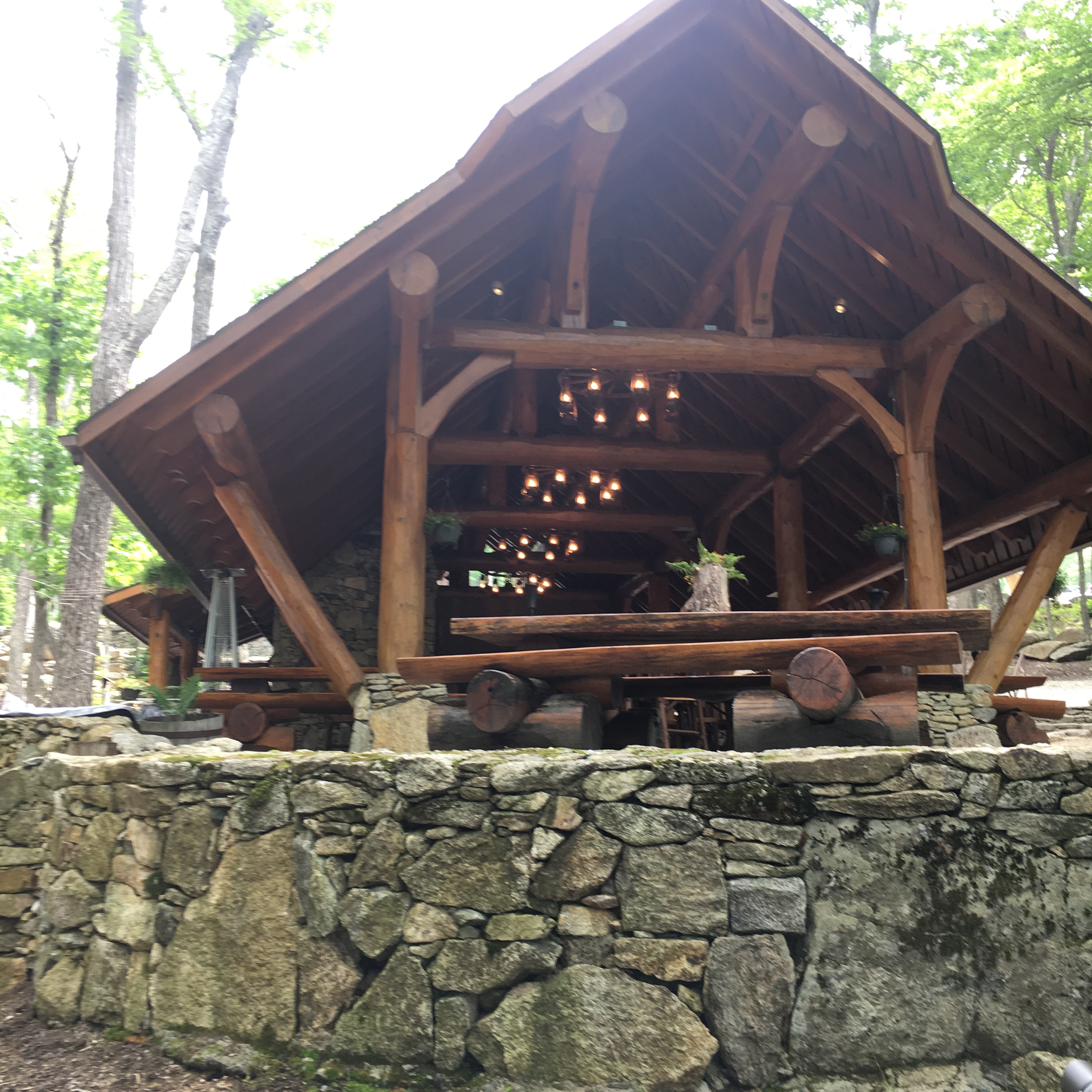 Banner Elk Lodge 1 (11)