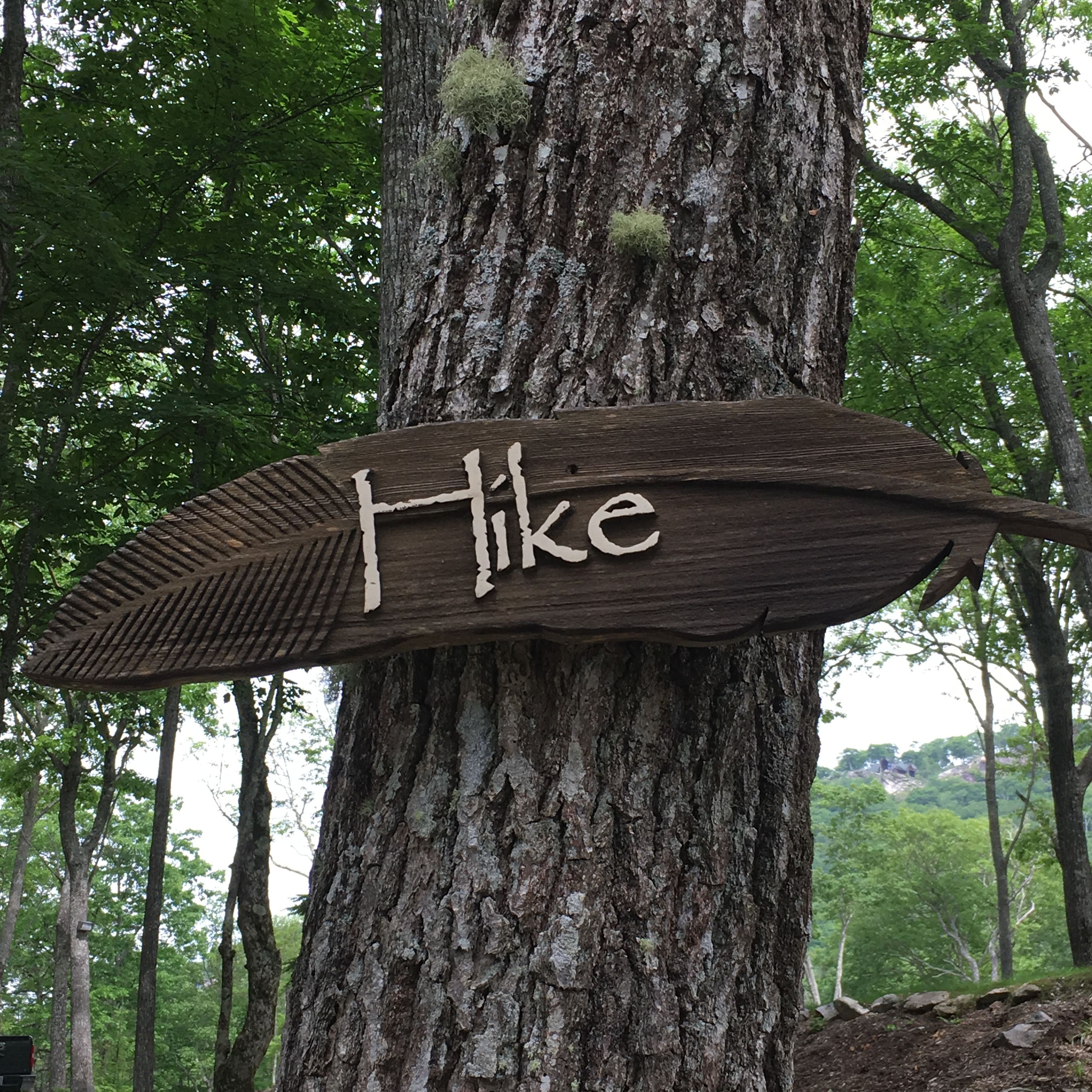 Banner Elk Lodge 1 (13)